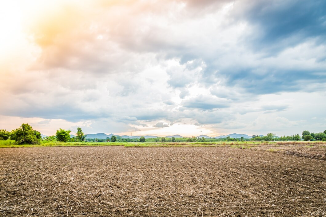 Mhaismal main road touch land best for farm housing